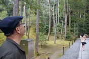 長い木