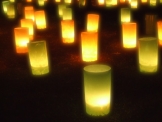 燈火会