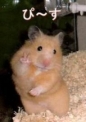 ぴ～す！
