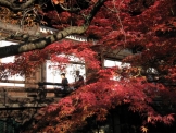 真如堂　紅葉