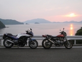 Z2 and Ninjya