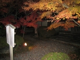 京都の紅葉　永観堂