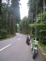 Z1000R ninjya Kawasaki