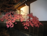 京都の紅葉　永観堂
