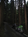 Z1000R ninjya Kawasaki
