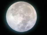 如月望月