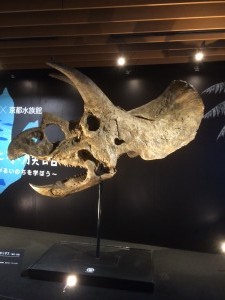水族館の恐竜の骨