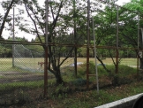 甲陵高校のサッカー練習場