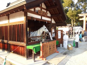 20140103_上賀茂神社の神馬[1]