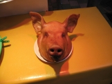 豚の頭　韓国